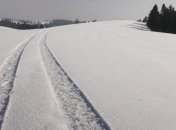 Спасение туристов в Карпатах: Трое спасателей обратились в больницу