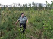 В Украине отмечается День работника леса