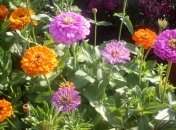 Прогноз погоды на 9 сентября: в Украине будет прохладно