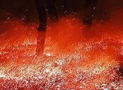 Страшные пожары на Луганщине: появились ужасающие видео и фото последствий