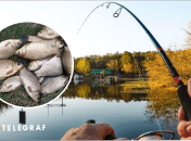 Де порибалити в Київській області