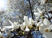 В Украине резко потеплеет