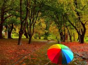 Последние погожие деньки