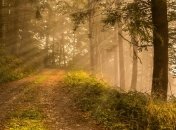 Начало рабочей недели в Украине будет теплым: погода на 8-9 сентября