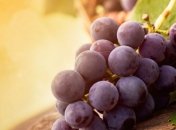 Виноградная диета - вкусно и полезно