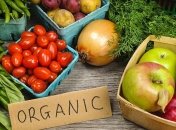 Правительство открыло реестры органической продукции