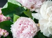 Какие завтра праздники: традиции и приметы на 19 июня