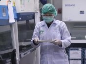 ВОЗ зафиксировала новый антирекорд COVID-19 в мире