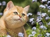 Прогноз погоды в Украине 4 мая: осадков не ожидается 