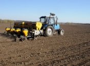 "УкрАгроКонсалт" прогнозирует сокращение посевов кукурузы 