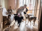 Приют "Второй шанс"