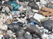 Мужчину на свалке Львовской области до смерти засыпало мусором