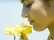 Как боль влияет на восприятие запахов?