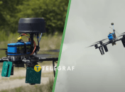 "Королева шершнів" може виконувати різні ролі