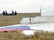 Россия представила в Совбезе ООН свою резолюцию по катастрофе Боинга