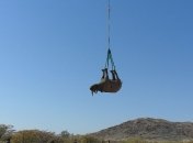 Премию за "подвешивание носорогов" выдали в сфере транспорта.