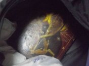 Россиянин пытался вывезти из Украины старинную икону