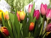 Теплые пожелания с наступающим 8 марта в стихах и открытках