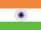 В Индии водитель будет казнен за опасную езду