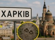 Харьков