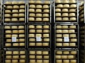 На Харьковщине обнаружен подпольный цех по производству сыра