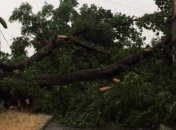 На Кишинев неожиданно налетел ураган, есть пострадавшие