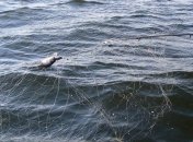 Рыбаки на Донбассе пытались утопить российских солдат