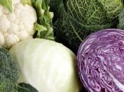 Полезные свойства капусты 