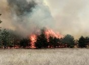 В Житомирской области - четыре новых лесных пожаров