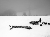 В непризнанной "республике" показали нетипичные фото Карабаха