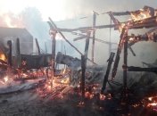 В Житомирской области произошел масштабный пожар