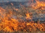 ГСЧС предупреждают о пожарной опасности в Украине 12-14 августа