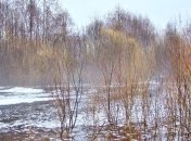 Погода в Украине 25 марта: на западе страны - без осадков