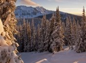 Снежная буря может изменить ДНК младенцев 