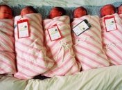 В Китае 8 близнецов обошлись родителям в $165 тыс.