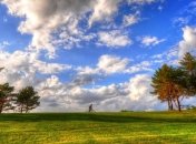 Эксперт рассказал о ситуации на земельном рынке Украины