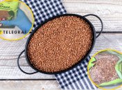 Гречана крупа з білковою "добавкою"