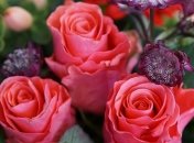 Поздравления с Днем рождения: стихи и открытки на 15 февраля