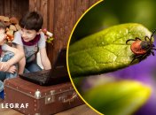 В Украине сняли мультик о клещах