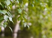 15 июля 2015, примета дня. Планируете кого-то приворожить? Мы знаем, как