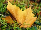 27 июля - праздник, что категорически запрещено делать, главные приметы