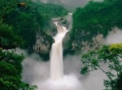 Власти Эквадора расскажут детям о защите природы