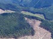 Луценко сообщил о борьбе правоохранителей с экоцидом Карпат