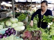 Экологи призывают перейти на вегетарианство