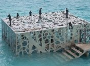 На Мальдивах открыли необычную полузатопленную галерею (Видео)