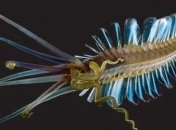 Ученые сделали новое открытие с помощью червей-паразитов 