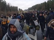 Иракские незаконные мигранты на границе Беларуси и Польши
