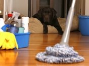 Уборка как терапия