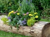 Передвижной цветник: красиво и удобно