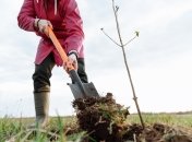 Полезные советы для дачников